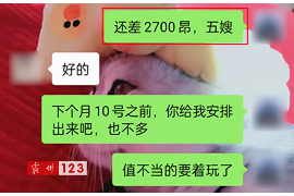 东至企业清欠服务